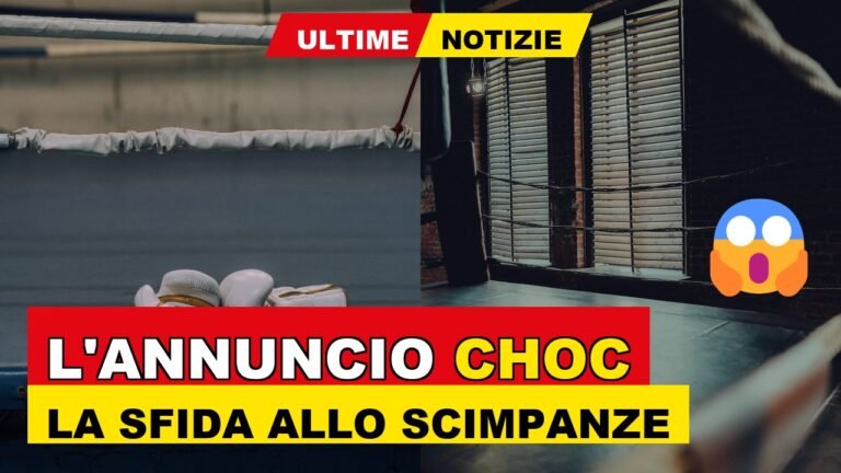 “Combatte contro uno scimpanzé”: bufera social per un atleta di MMA